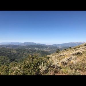 Meet your Posher, Chrishelle